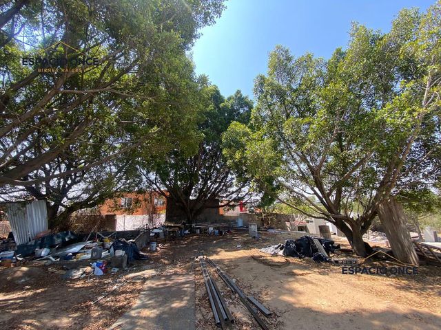 place photo 16