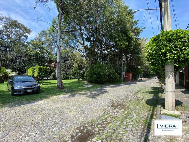 place photo 43