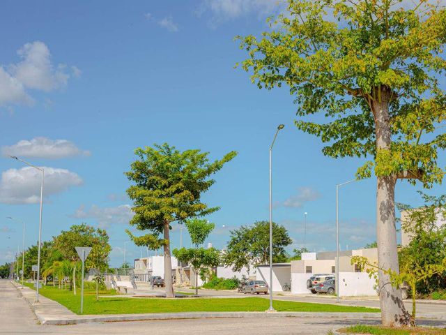 place photo 35