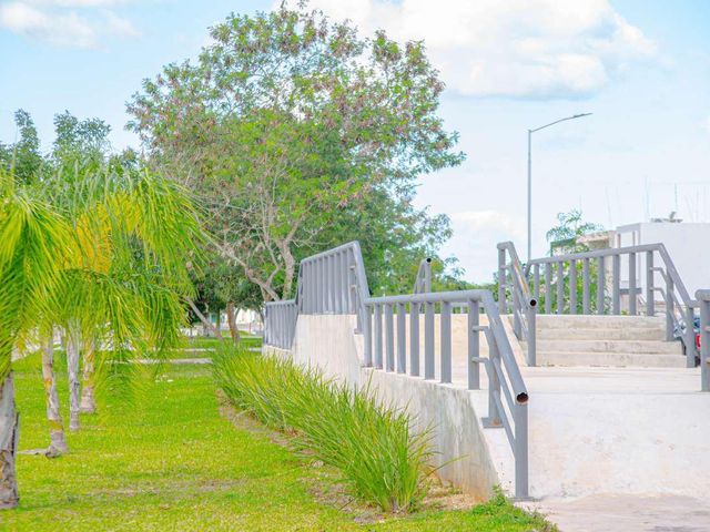 place photo 36