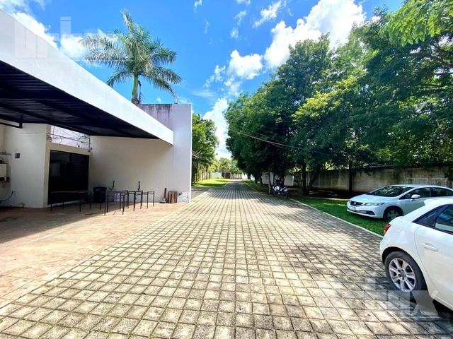 place photo 37