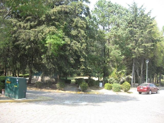 place photo 25