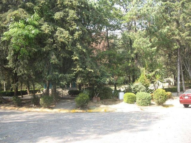 place photo 23