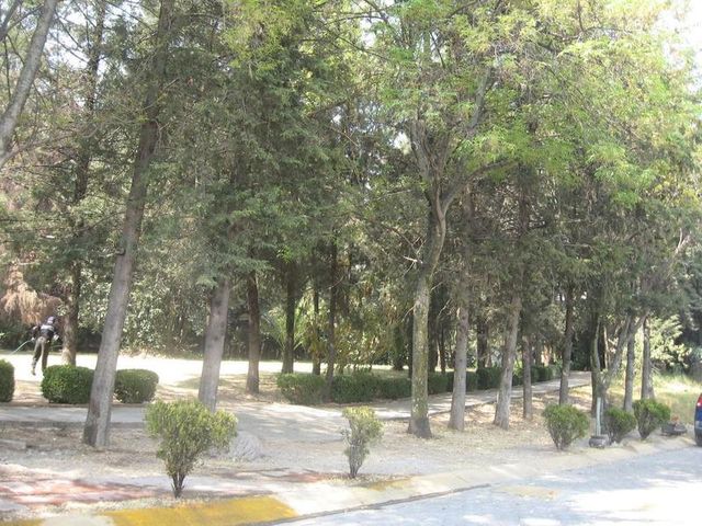 place photo 24