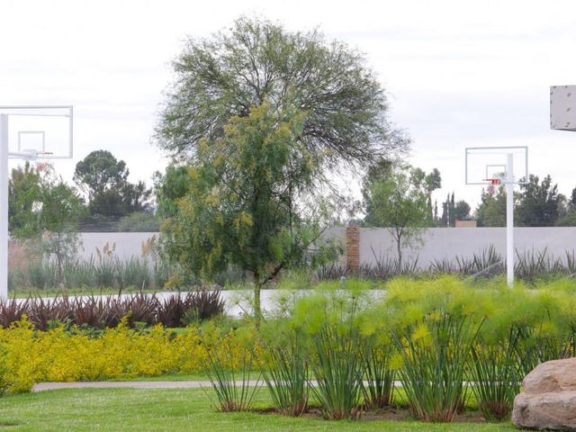 place photo 38