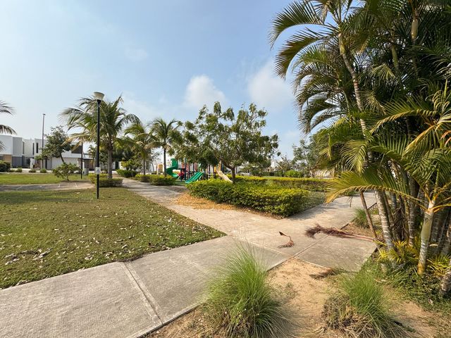 place photo 31