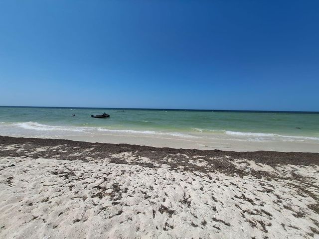 place photo 47