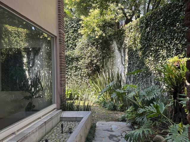 place photo 59