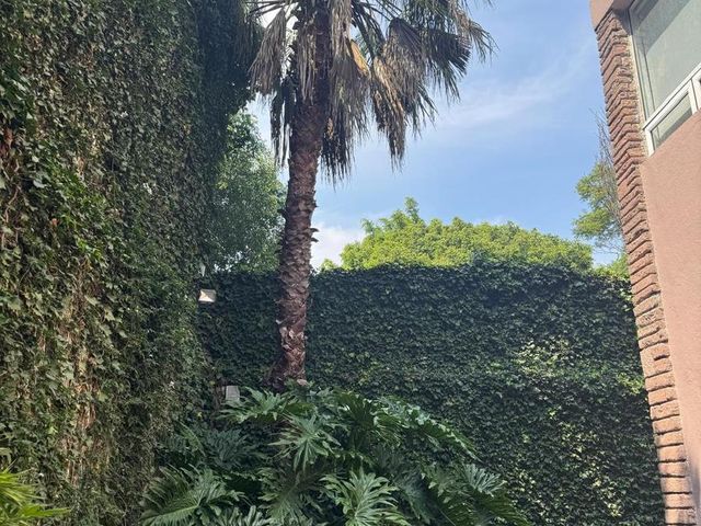 place photo 55
