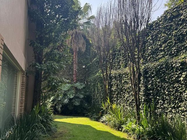 place photo 58