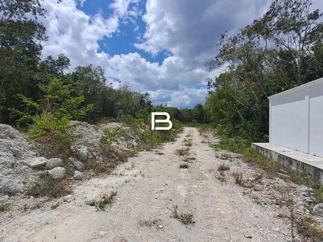 place photo 13