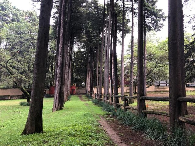 place photo 24