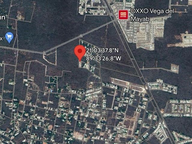 place photo 5