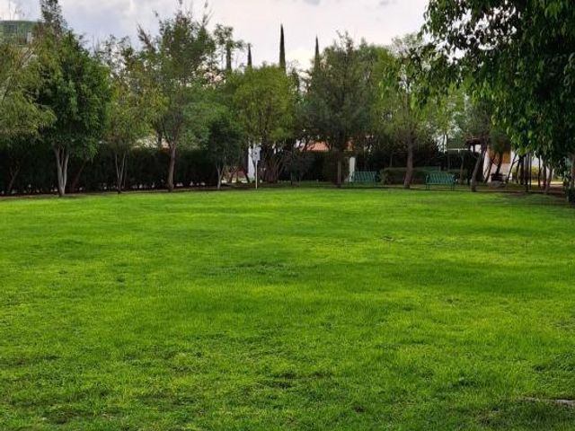 place photo 100