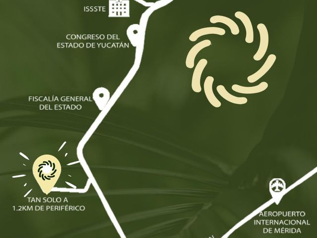 place photo 23