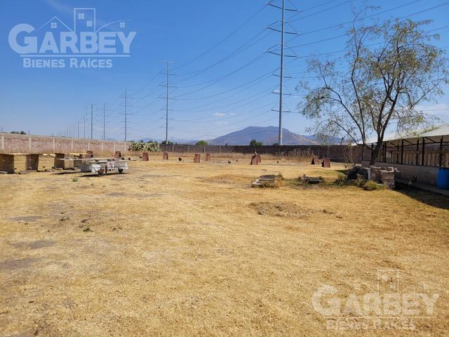 place photo 22
