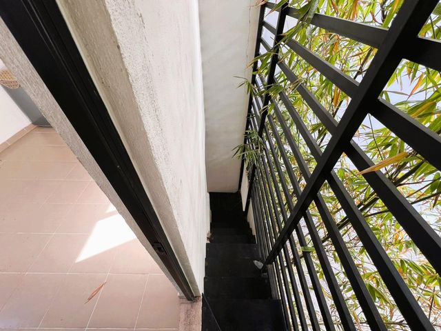 place photo 39