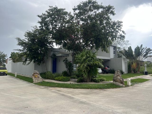 place photo 35