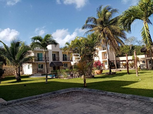 place photo 20