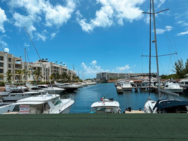 place photo 27