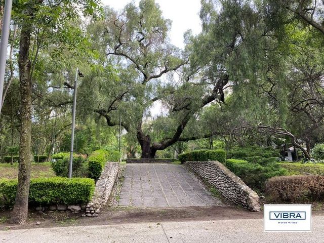place photo 37