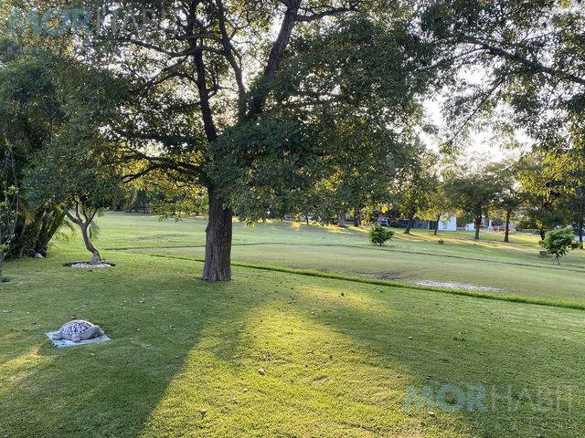 place photo 61
