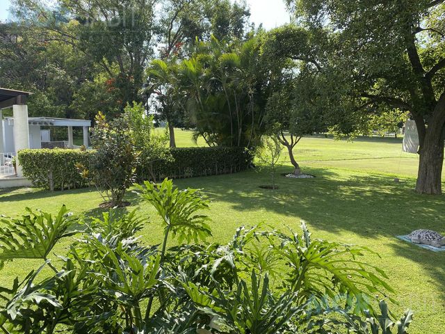 place photo 56