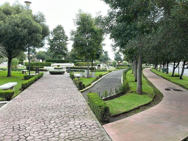 place photo 31