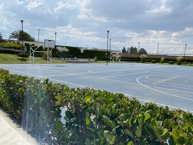 place photo 27