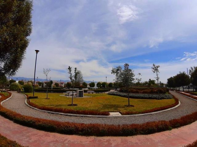 place photo 16