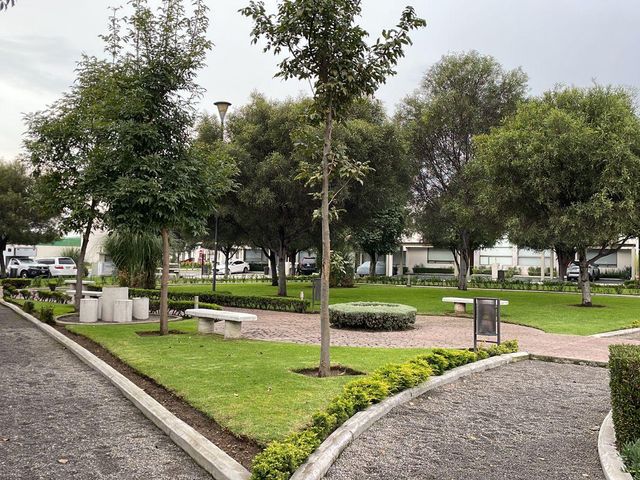 place photo 36
