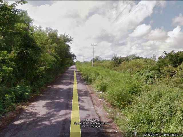 place photo 7