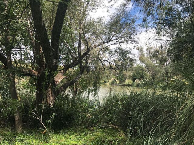 place photo 19