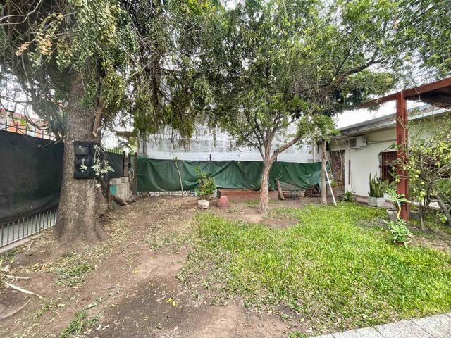 place photo 38