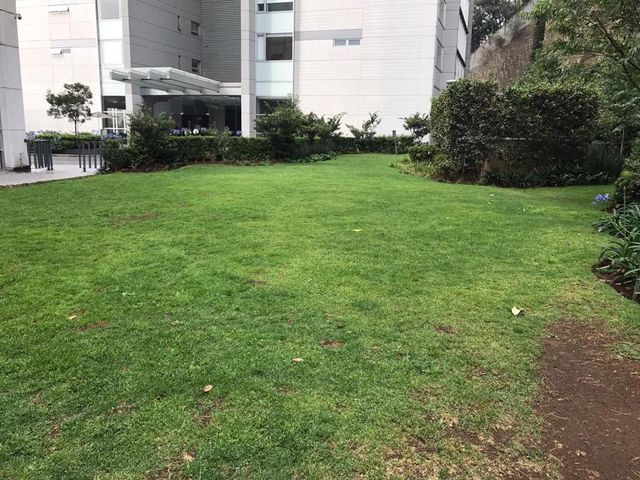 place photo 34