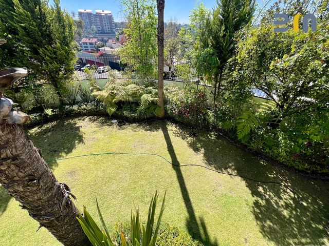 place photo 39
