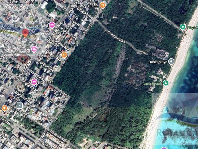 place photo 15