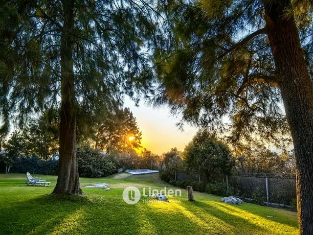 place photo 71