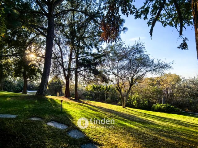 place photo 66