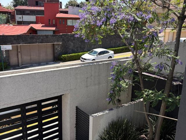 place photo 46