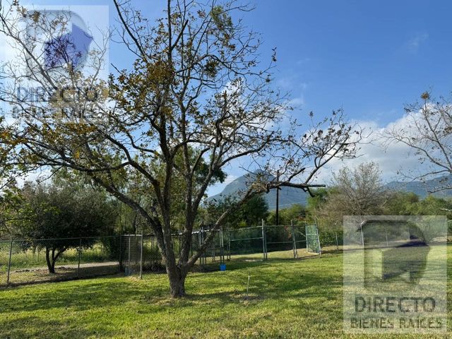 place photo 37