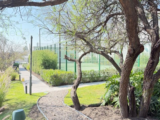 place photo 44