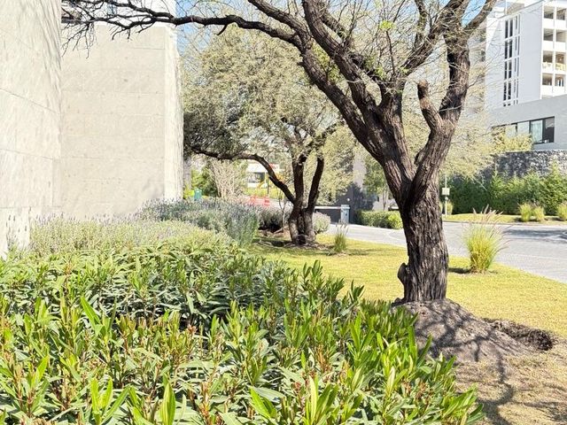 place photo 54