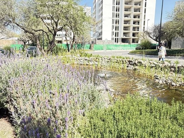 place photo 53