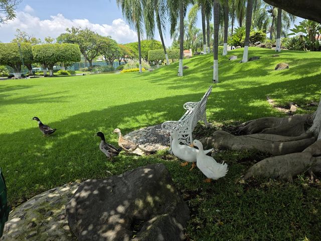 place photo 41