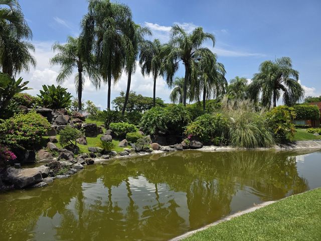 place photo 62