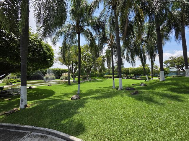 place photo 43