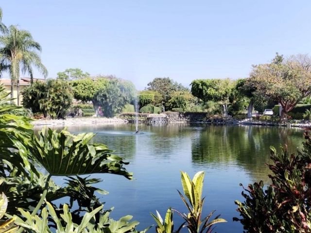 place photo 42