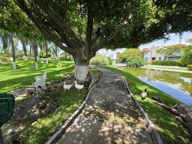 place photo 52