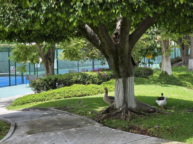 place photo 44